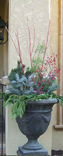 winter planter with evergreen