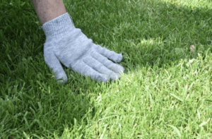 hand on soft grass